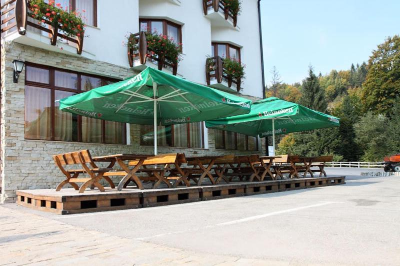Pensiunea Vraja Muntelui Arieşeni Exterior foto